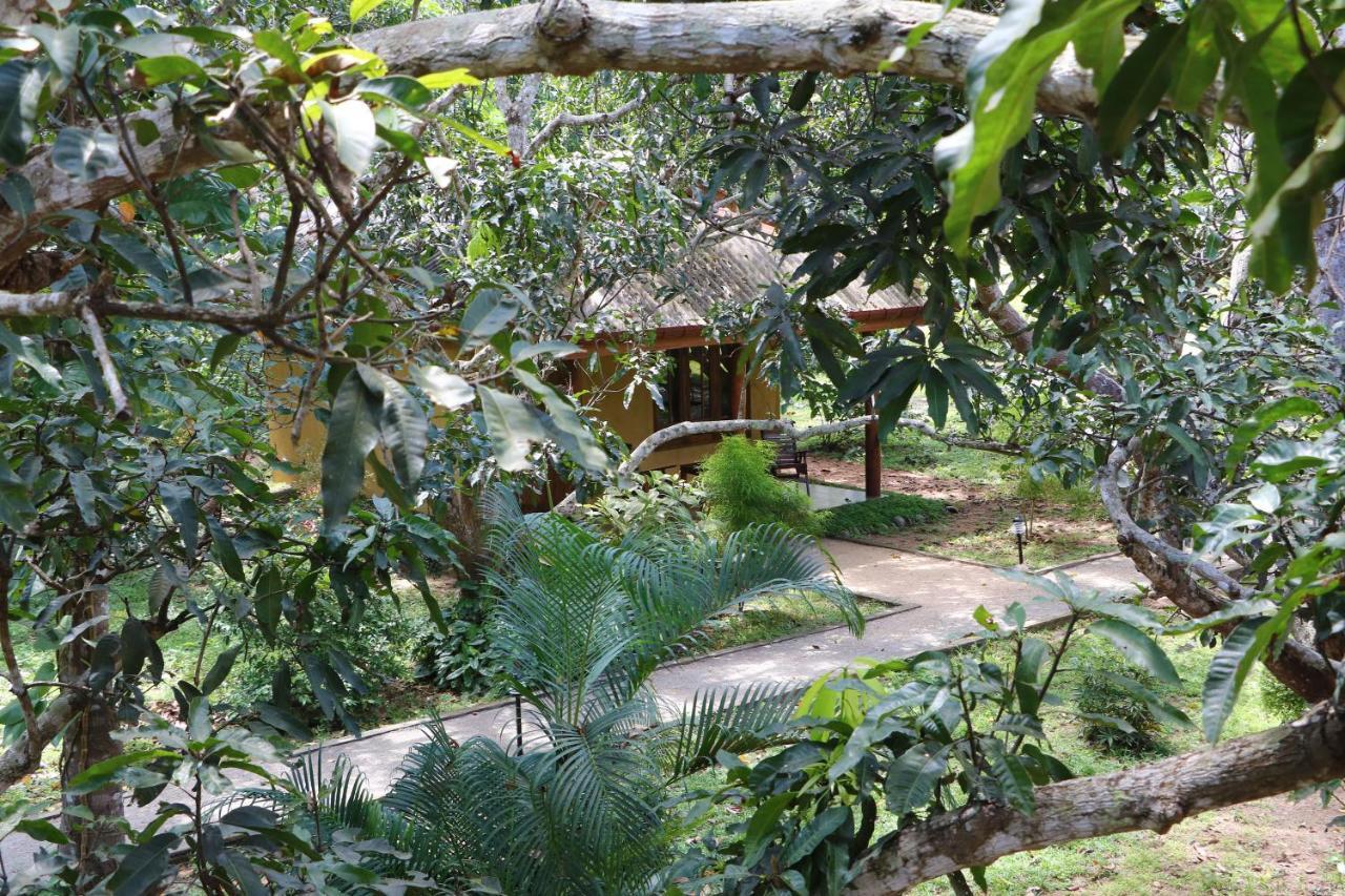 Bissa Villa Хабарана Экстерьер фото